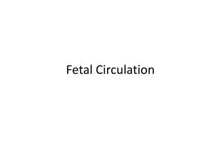 Fetal Circulation
