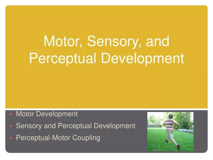 motor sensory and perceptual development