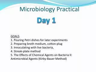 Microbiology Practical