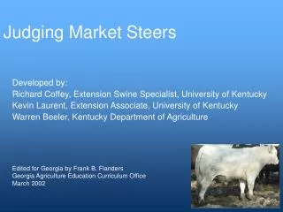 Judging Market Steers