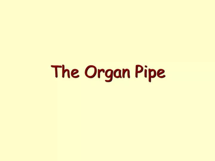 the organ pipe