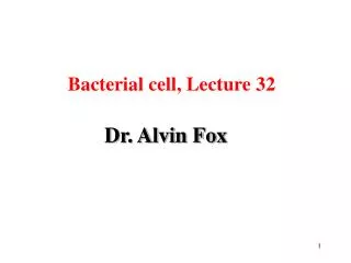Dr. Alvin Fox