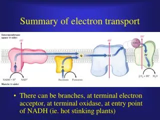 Summary of electron transport