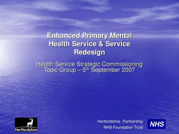 enhanced primary mental health service service redesign