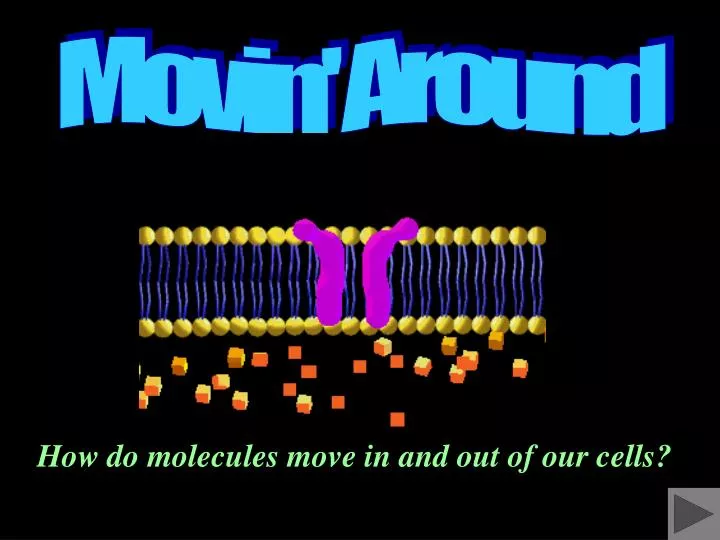 how do molecules move in and out of our cells