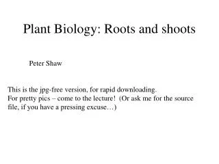 Plant Biology: Roots and shoots