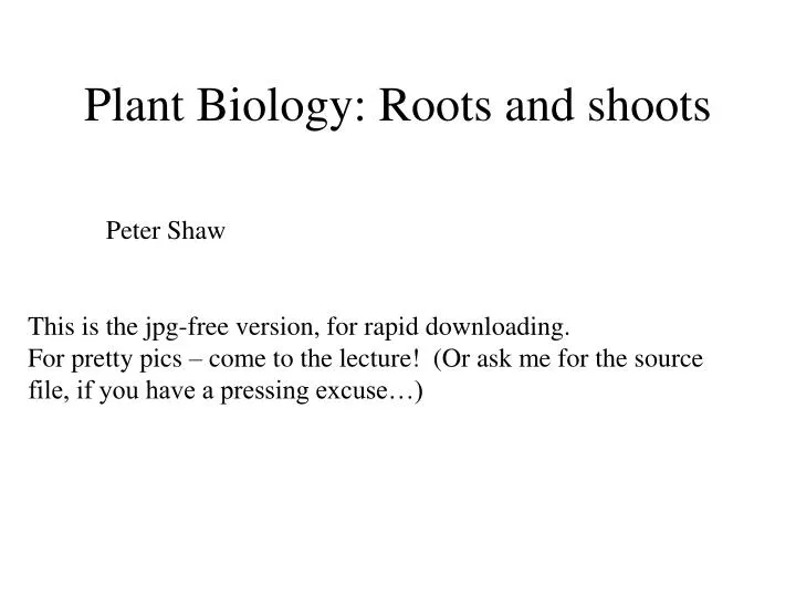 plant biology roots and shoots