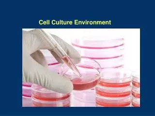 Cell Culture Environment