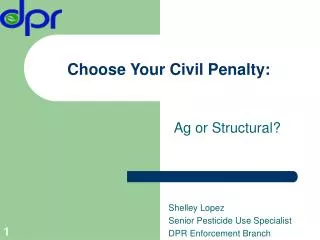 Choose Your Civil Penalty: