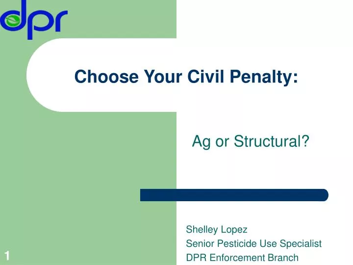 choose your civil penalty