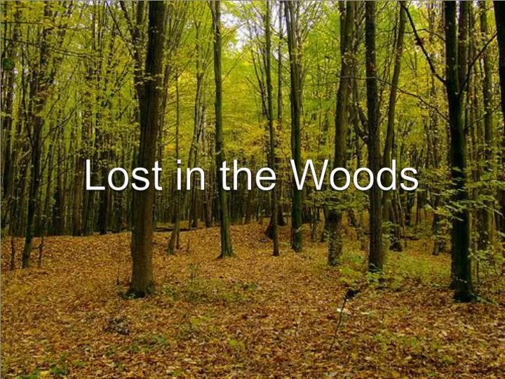 lost in the woods