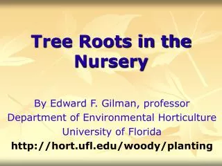 Tree Roots in the Nursery