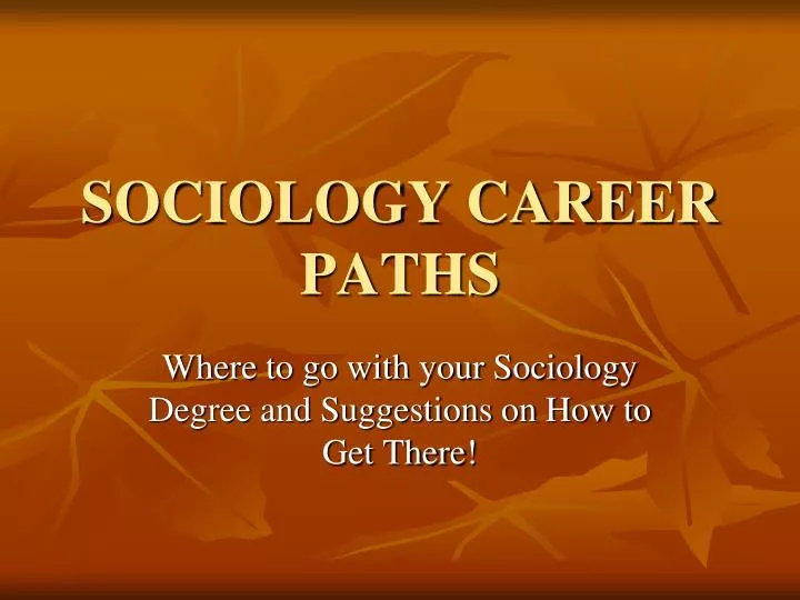 sociology career paths