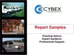 Vehicle Activity Reports for Effective Fleet Management - slide 1