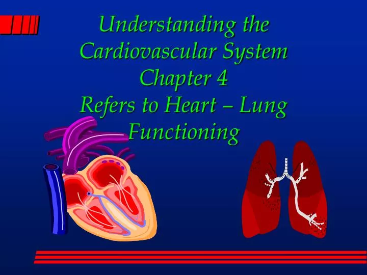 understanding the cardiovascular system chapter 4 refers to heart lung functioning