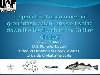 Trophic level of commercial groundfish catch: are we fishing down the food web in the Gulf of Alaska?