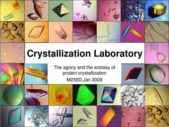 crystallization laboratory