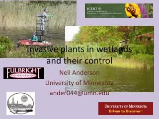 Invasive plants in wetlands and their control