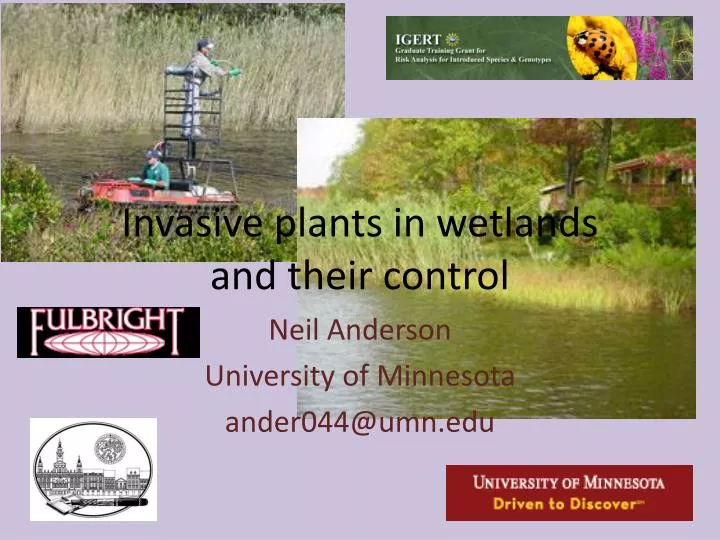 invasive plants in wetlands and their control