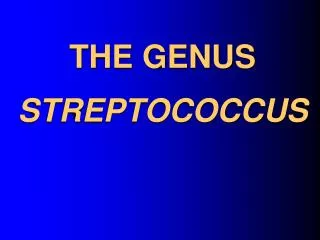 THE GENUS STREPTOCOCCUS