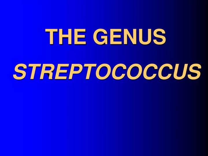 the genus streptococcus