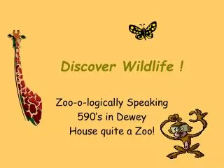 Discover Wildlife !