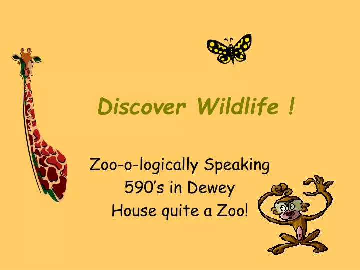 discover wildlife