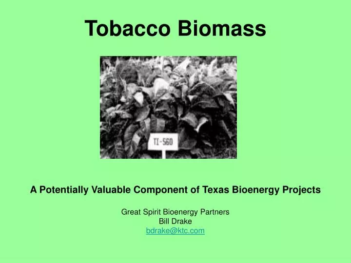 tobacco biomass