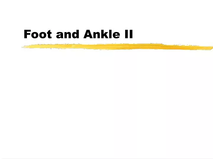 foot and ankle ii