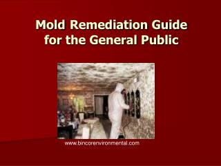 Mold Remediation Guide for the General Public