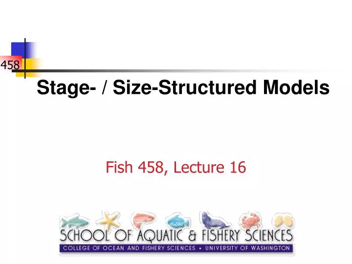 stage size structured models