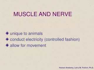 MUSCLE AND NERVE
