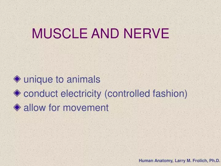 muscle and nerve