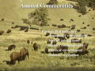 Animal Communities