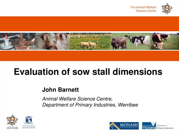 evaluation of sow stall dimensions