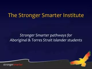 The Stronger Smarter Institute