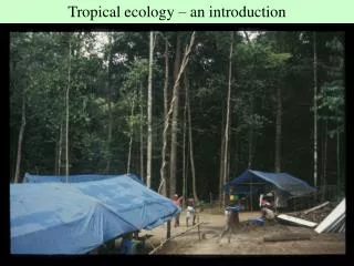 Tropical ecology – an introduction