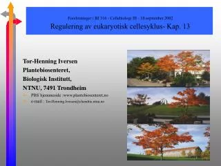 Forelesninger i BI 316 - Cellebiologi III - 10.september 2002 Regulering av eukaryotisk cellesyklus- Kap. 13
