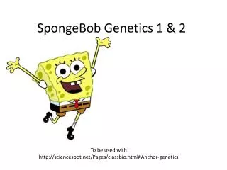 SpongeBob Genetics 1 &amp; 2