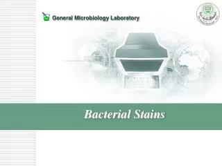 Bacterial Stains