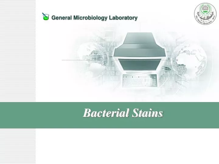 bacterial stains
