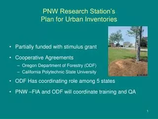 PNW Research Station’s Plan for Urban Inventories