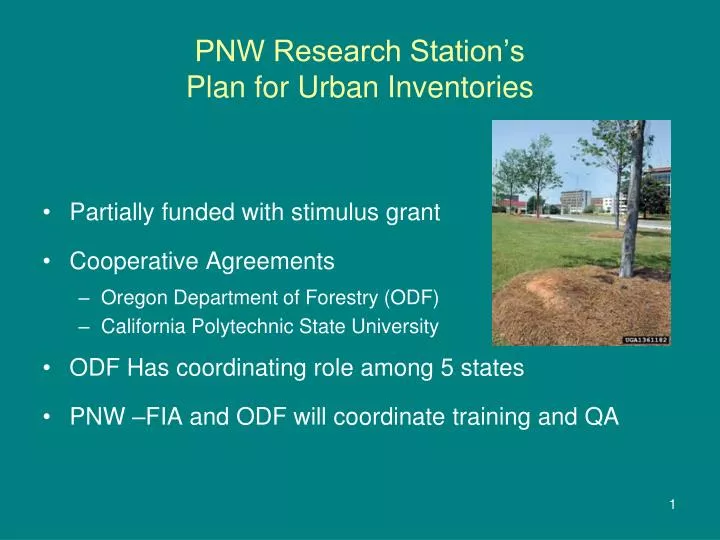 pnw research station s plan for urban inventories