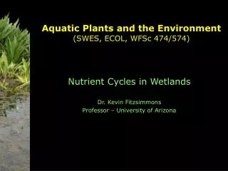 Aquatic Plants and the Environment (SWES, ECOL, WFSc 474/574)