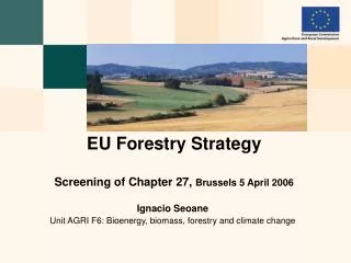 EU Forestry Strategy Screening of Chapter 27, Brussels 5 April 2006