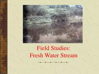 Field Studies: Fresh Water Stream