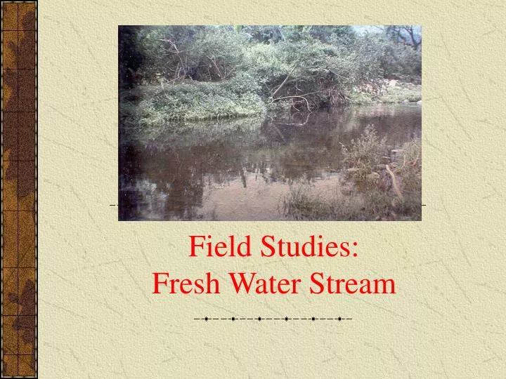 field studies fresh water stream