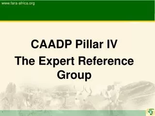 CAADP Pillar IV The Expert Reference Group