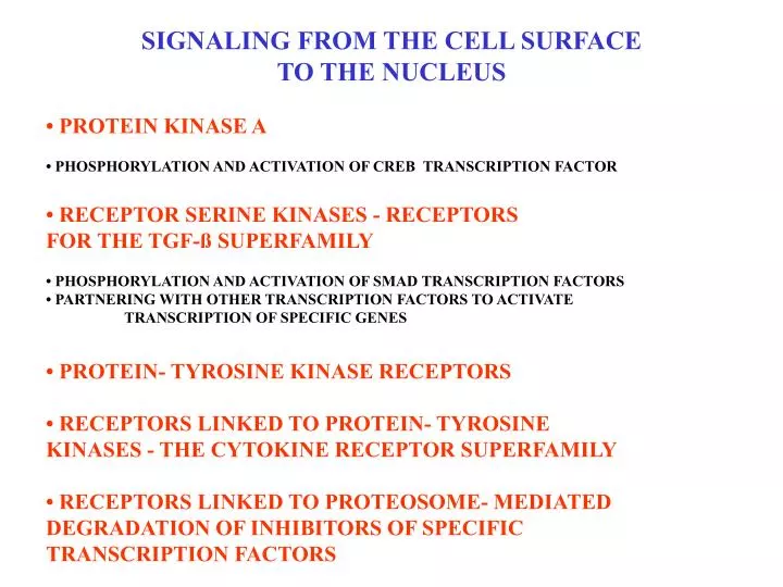 signaling from the cell surface to the nucleus