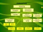 EXECUTIVE - slide 1